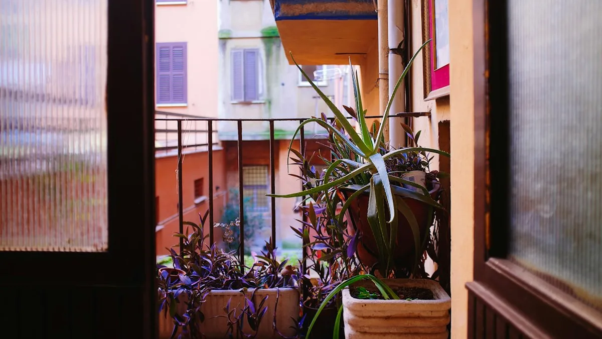 Bac plantes aromatiques balcon : réussir son carré