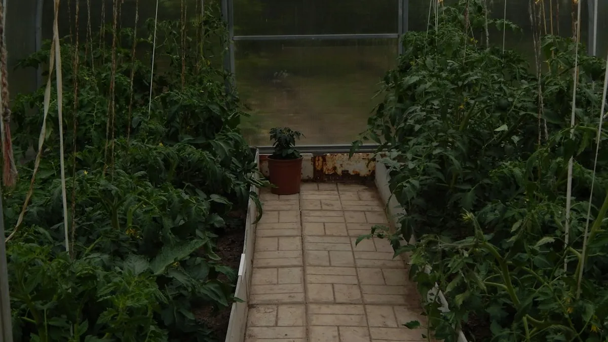 Idée cadeau jardinage : Jardin potager intérieur