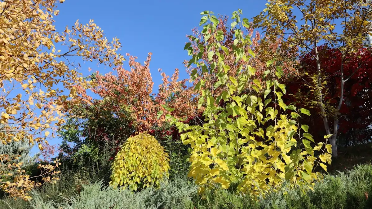 Préparer son jardin à l'automne, le bon tuyau