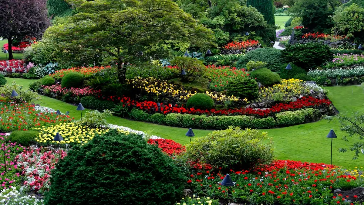 Faire des boutures : plantes faciles et bon calendrier