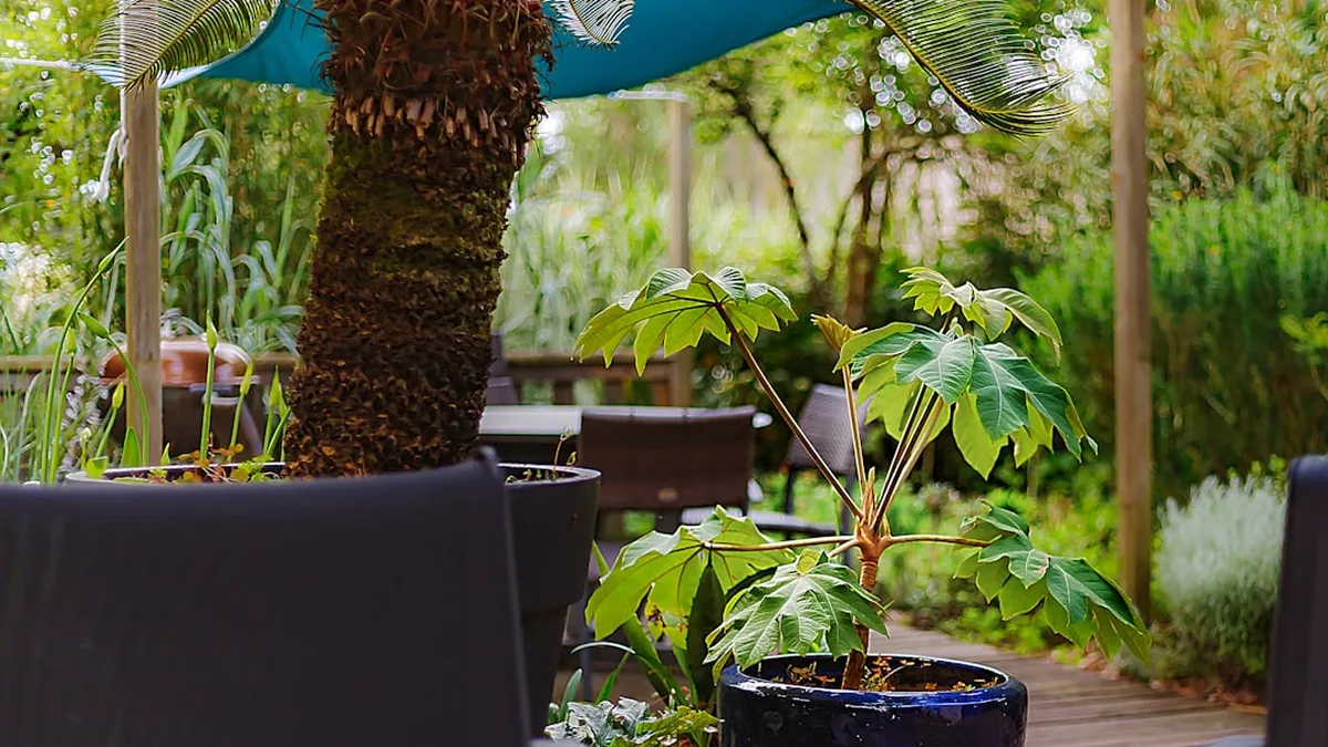 Aménager sa terrasse pour la rendre vraiment accueillante