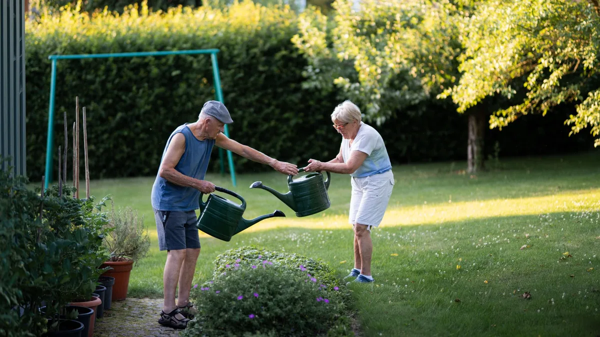 Terre de bruyère : pour quelle plante et comment l'utiliser